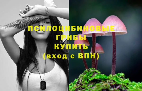 таблы Вязники