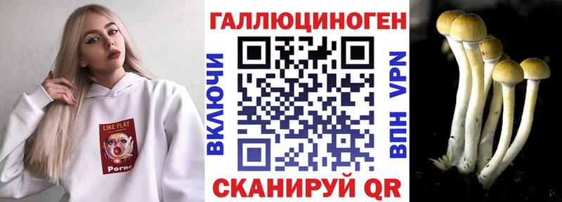 Псилоцибиновые грибы Psilocybe Зарайск